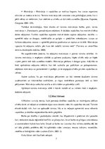 Referāts 'Riski un to ietekme uz tūrisma galamērķu izvēli', 7.