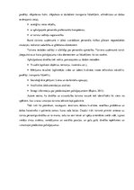 Referāts 'Riski un to ietekme uz tūrisma galamērķu izvēli', 10.