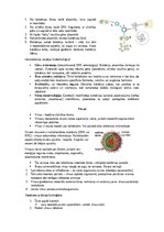 Konspekts 'Šūnu uzbūve un procesi šūnā', 5.