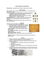 Konspekts 'Šūnu uzbūve un procesi šūnā', 18.