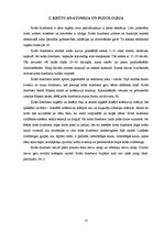 Diplomdarbs 'Attieksme pret laktācijas ilgumu un nozīmi bērna attīstībā', 10.