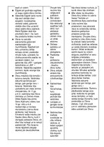 Konspekts 'Divupes un Ēģiptes salīdzinājums tabulā', 3.