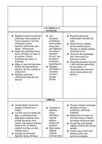 Konspekts 'Divupes un Ēģiptes salīdzinājums tabulā', 4.