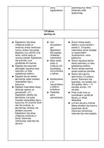 Konspekts 'Divupes un Ēģiptes salīdzinājums tabulā', 6.