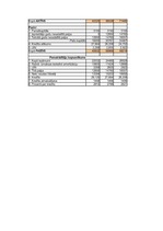 Konspekts 'Uzņēmuma finanšu plāns', 3.