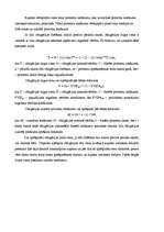 Konspekts 'Vērtspapīru tirgus raksturojošie rādītāji', 5.