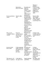 Konspekts 'Geriatrija - veca cilvēka individuālais aprūpes plāns', 2.
