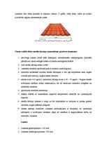 Konspekts 'Kārniņu jumta segumi', 2.