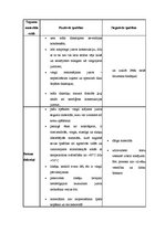 Konspekts 'Kārniņu jumta segumi', 4.