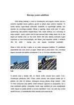 Konspekts 'Kārniņu jumta segumi', 5.