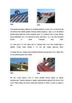 Konspekts 'Kārniņu jumta segumi', 6.