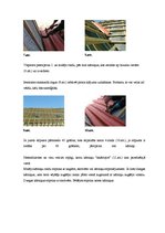 Konspekts 'Kārniņu jumta segumi', 7.