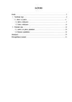 Referāts 'Uzņēmuma aktīvi un pasīvi', 1.