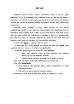 Referāts 'Uzņēmuma aktīvi un pasīvi', 2.