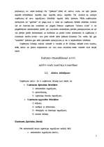 Referāts 'Uzņēmuma aktīvi un pasīvi', 4.