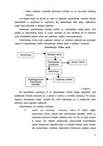 Referāts 'Uzņēmuma aktīvi un pasīvi', 7.