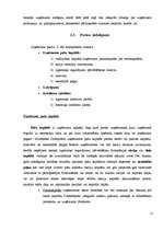 Referāts 'Uzņēmuma aktīvi un pasīvi', 14.