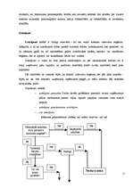 Referāts 'Uzņēmuma aktīvi un pasīvi', 16.