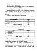 Referāts 'Uzņēmuma aktīvi un pasīvi', 21.