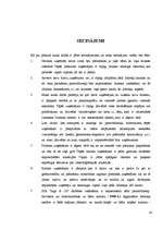 Referāts 'Uzņēmuma aktīvi un pasīvi', 29.