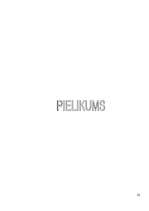 Referāts 'Uzņēmuma aktīvi un pasīvi', 32.