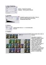 Referāts 'Photoshop DV', 10.