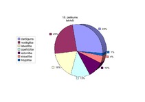 Referāts '"Baltās drānas" – latviešu pasaules uzskats Zentas Mauriņas dzīvē un daiļradē', 40.