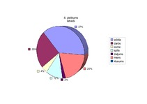 Referāts '"Baltās drānas" – latviešu pasaules uzskats Zentas Mauriņas dzīvē un daiļradē', 47.