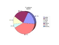 Referāts '"Baltās drānas" – latviešu pasaules uzskats Zentas Mauriņas dzīvē un daiļradē', 49.