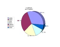 Referāts '"Baltās drānas" – latviešu pasaules uzskats Zentas Mauriņas dzīvē un daiļradē', 61.