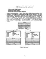 Referāts 'Mākslīgais intelekts', 6.