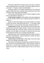 Diplomdarbs 'Pārtikas alerģijas riska faktori un profilakses pasākumi bērniem', 14.