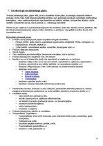 Konspekts 'Biznesa plāna sastādīšana', 6.