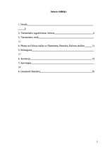 Referāts 'Termometrs', 2.