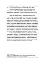 Referāts 'Reklāma un autortiesības. Likumdošana, gadījuma analīze', 8.