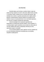 Referāts 'Reklāma un autortiesības. Likumdošana, gadījuma analīze', 14.