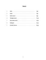 Referāts 'Vardarbība - aktualitāte, ar kuru jārēķinās', 2.