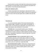 Prakses atskaite 'Prakses atskaite', 26.