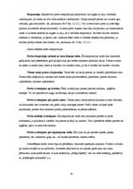 Prakses atskaite 'Prakses atskaite', 29.