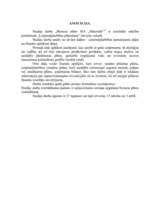 Biznesa plāns 'Biznesa plāns SIA "Materiāls"', 1.