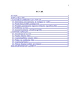 Biznesa plāns 'Biznesa plāns SIA "Materiāls"', 2.