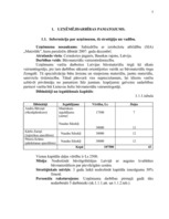 Biznesa plāns 'Biznesa plāns SIA "Materiāls"', 5.