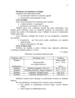 Biznesa plāns 'Biznesa plāns SIA "Materiāls"', 15.