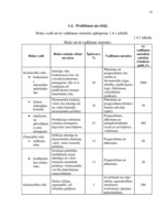 Biznesa plāns 'Biznesa plāns SIA "Materiāls"', 16.