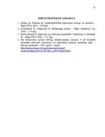 Biznesa plāns 'Biznesa plāns SIA "Materiāls"', 28.