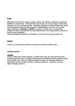 Referāts 'Smēķēšana, alkohols', 3.