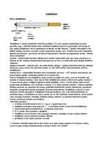 Referāts 'Smēķēšana, alkohols', 4.