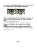 Referāts 'Smēķēšana, alkohols', 8.