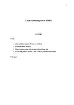 Referāts 'Laba ražošanas prakse', 1.