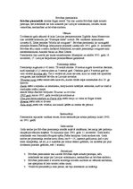 Prezentācija 'Brīvības piemineklis', 1.